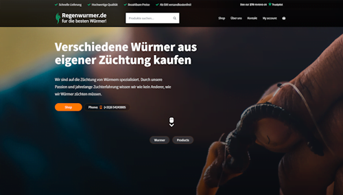 website analyse